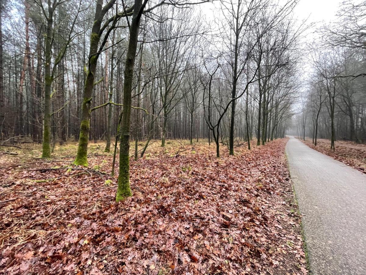 Elle'Belle Oudsbergen I 1-, 2- Or 3-Bedrooms Opglabbeek المظهر الخارجي الصورة